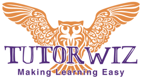 Tutorwiz Senior Owl Logo | Tutorwiz